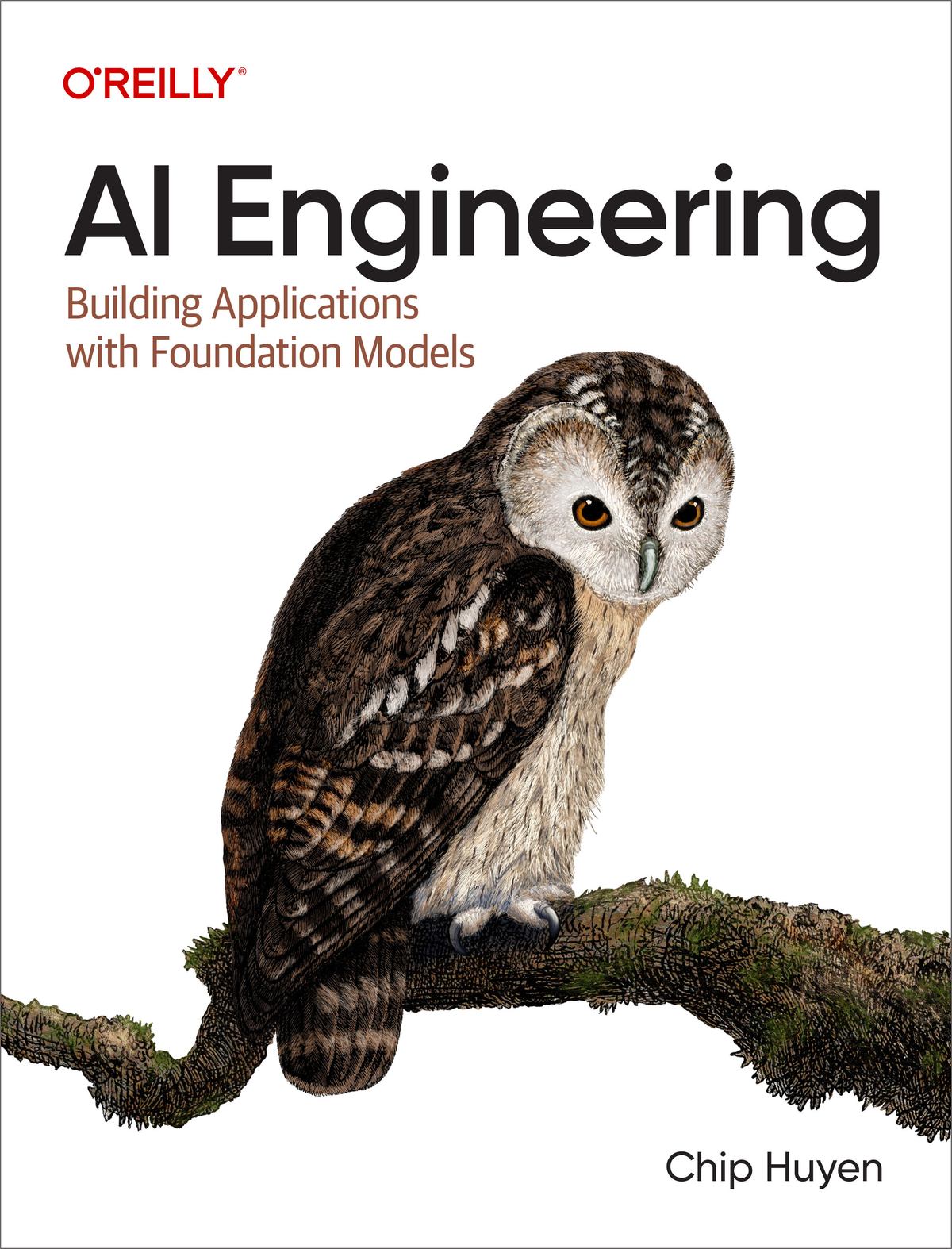 AI Engineering (for True Epub)