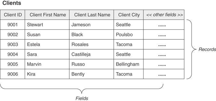 The structure of a typical table is shown to depict an overview of records and fields.