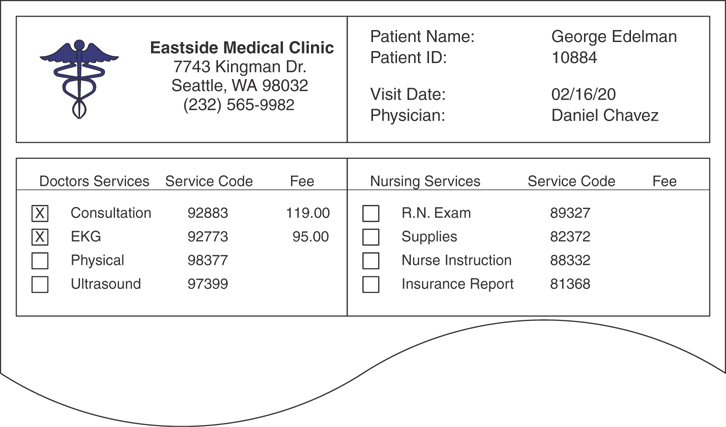A figure shows a sample of a complex report enlisting some entries of doctor and nurse services.
