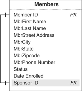 The structure of the members table is presented.