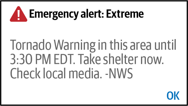 Emergency alert system 